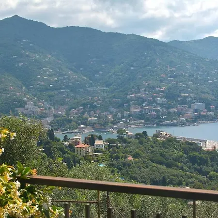 Andromeda Flexyrent *