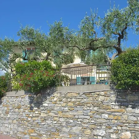 Andromeda Flexyrent * ラッパロ