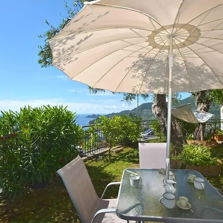 Andromeda Flexyrent ラッパロ