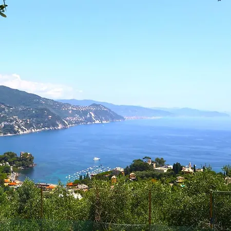 Andromeda Flexyrent *