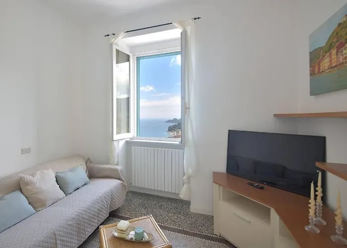 Andromeda Flexyrent Ραπάλο