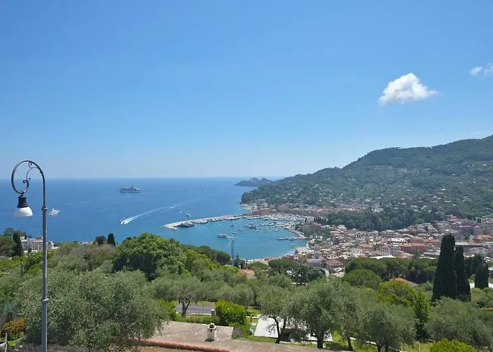 Andromeda Flexyrent * Ραπάλο