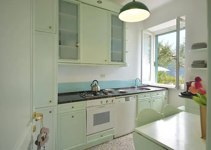 Andromeda Flexyrent Ραπάλο