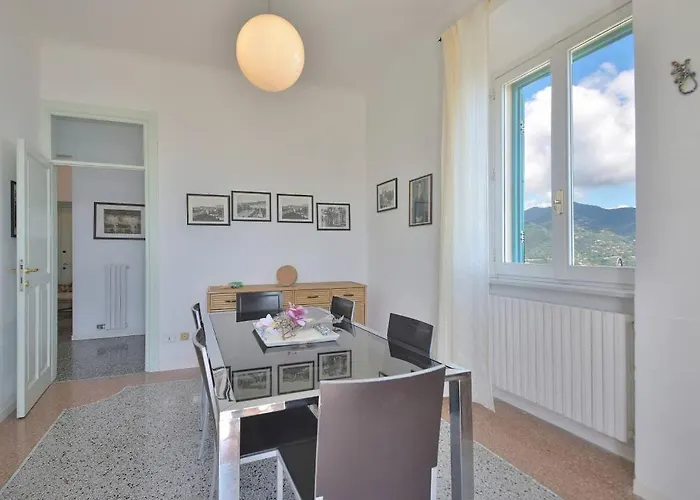 Andromeda Flexyrent Ραπάλο