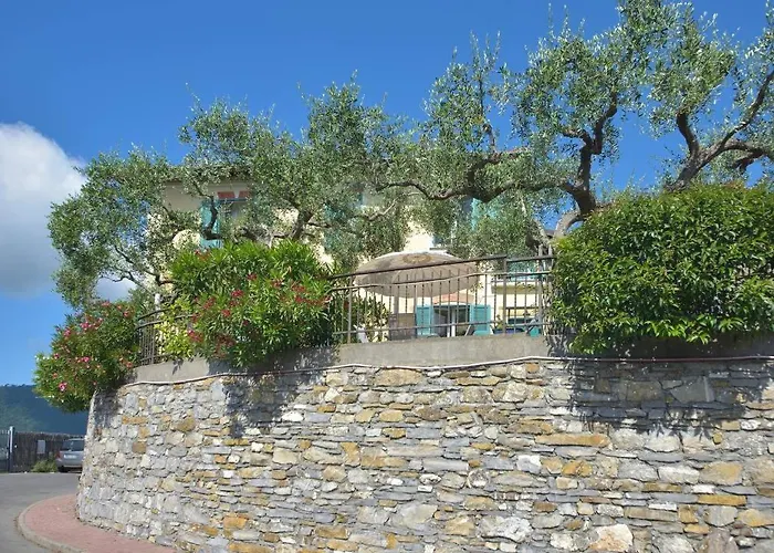 Andromeda Flexyrent * Ραπάλο