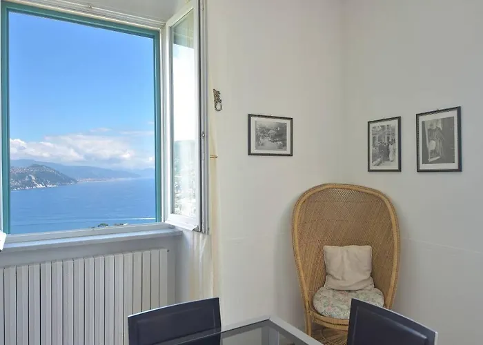 Andromeda Flexyrent * Ραπάλο