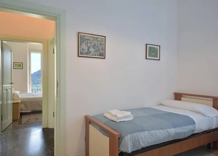 Andromeda Flexyrent Ραπάλο