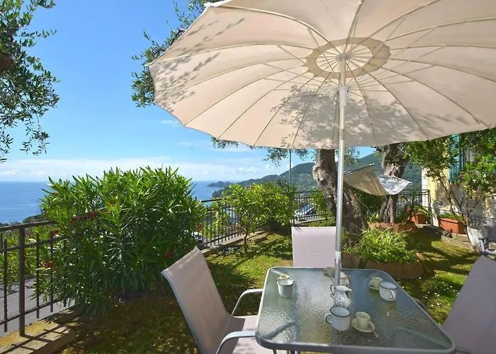 Andromeda Flexyrent Ραπάλο